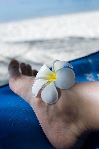 �r�W���g���[�g�����g�R�[�X