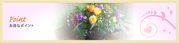 お得なポイント